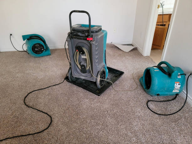 Best Fire Damage Restoration  in Graniteville, SC