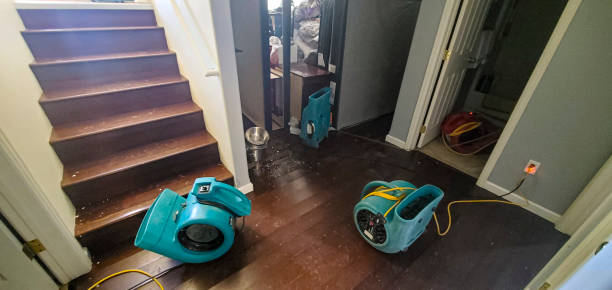 Professional Water damage restoration in SC