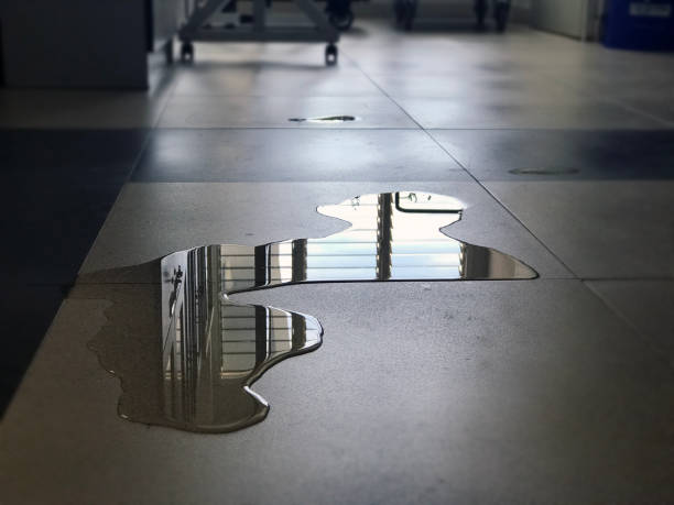 Best Commercial water damage restoration  in Graniteville, SC